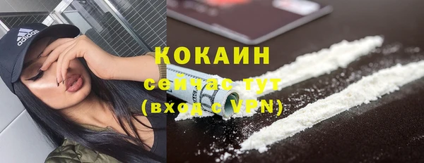 твердый Аркадак