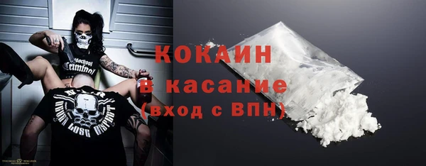 твердый Арсеньев