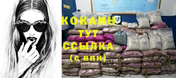 твердый Арсеньев