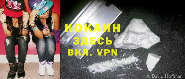 твердый Аркадак