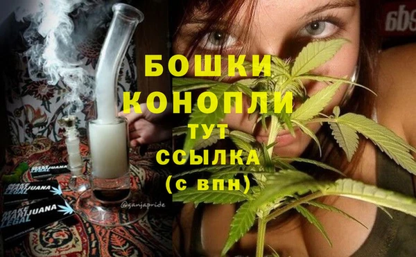 твердый Аркадак